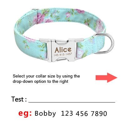 Personalized Buckle Nylon Dog Collar