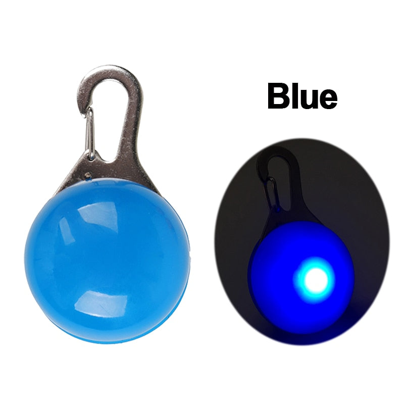 Pet Led Collar
