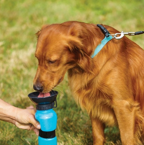 ¡GRATIS! Botella de Agua Portátil para Perros