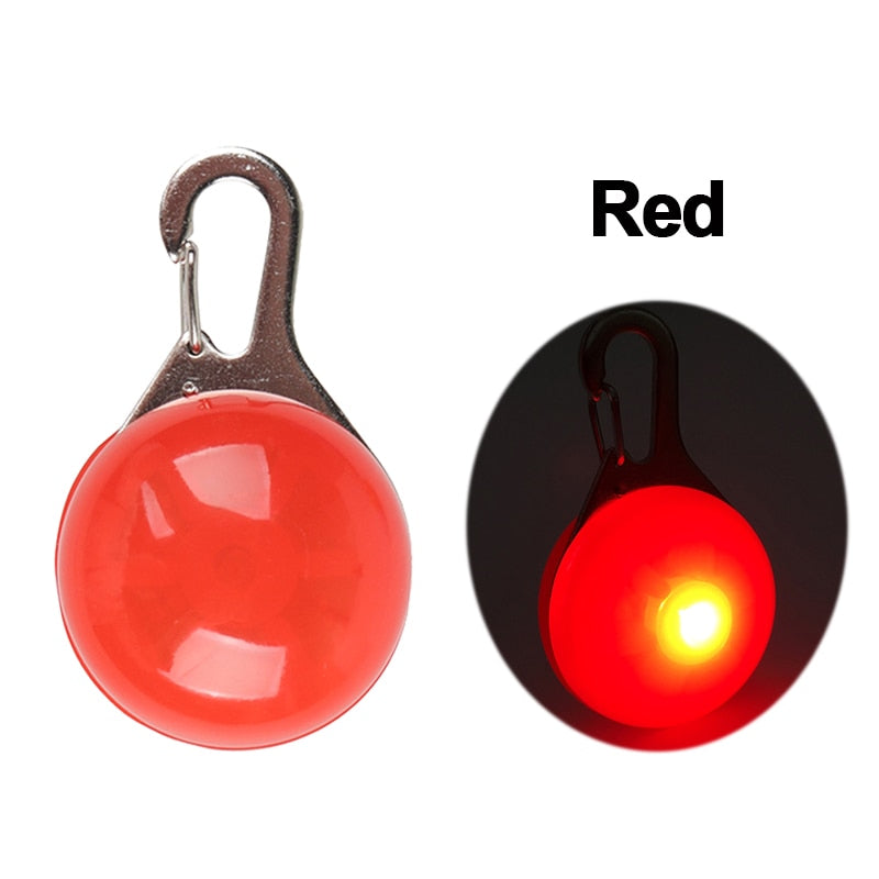 Pet Led Collar