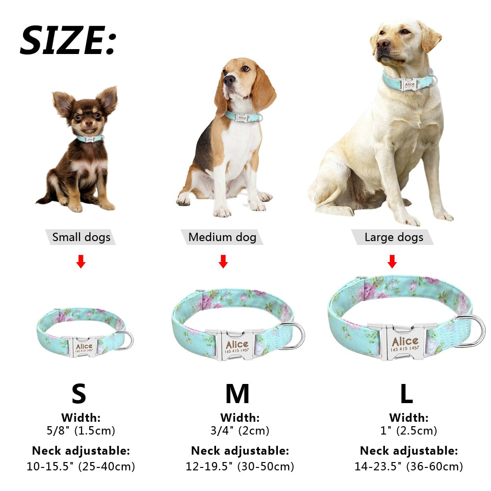 Personalized Buckle Nylon Dog Collar