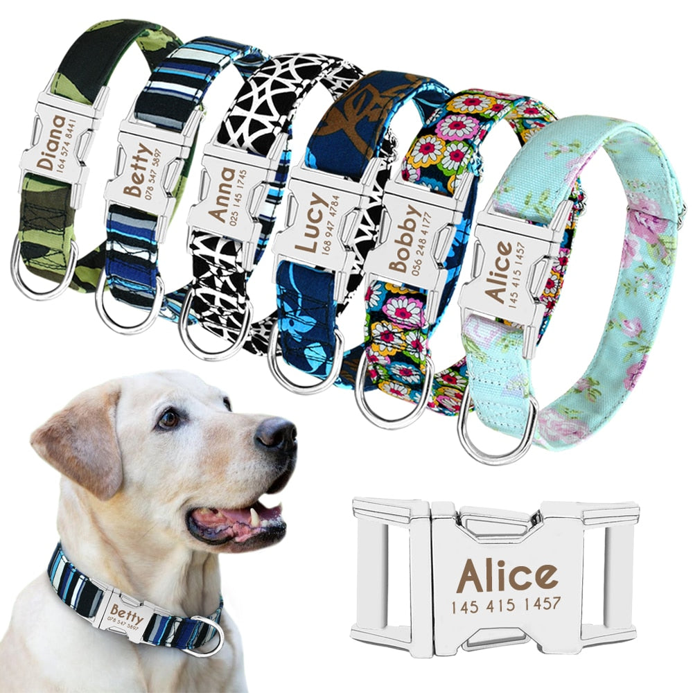 Personalized Buckle Nylon Dog Collar