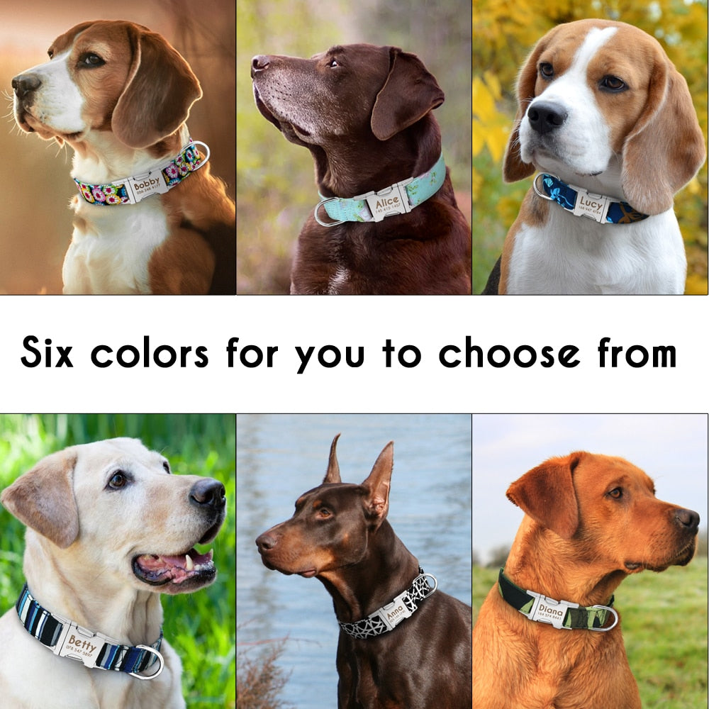 Personalized Buckle Nylon Dog Collar
