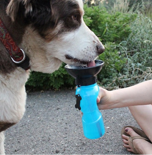 ¡GRATIS! Botella de Agua Portátil para Perros