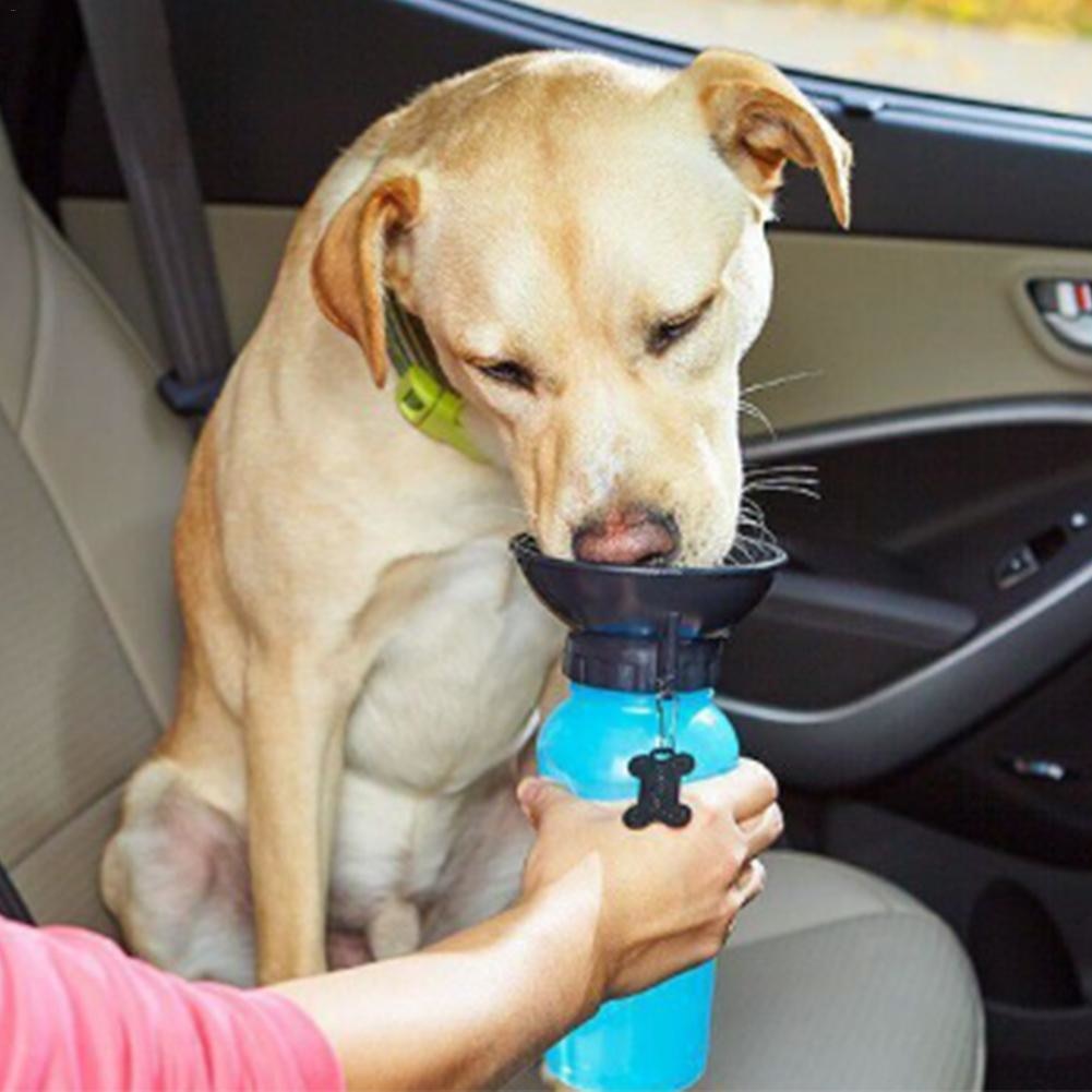 ¡GRATIS! Botella de Agua Portátil para Perros