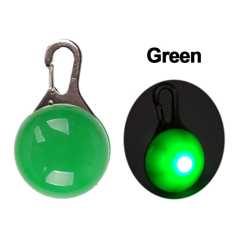 Pet Led Collar