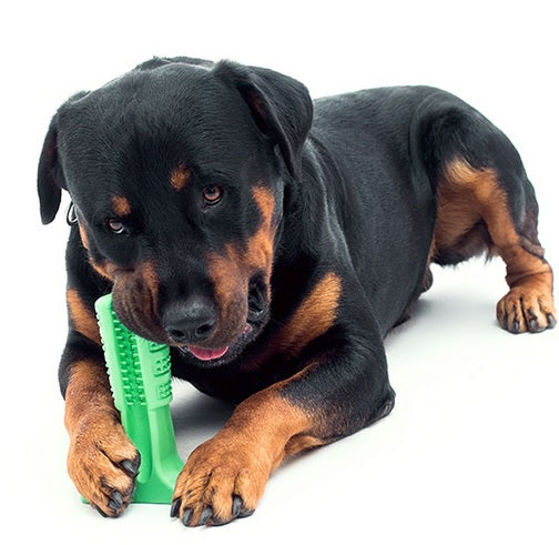 Cepillo de Dientes de Goma para Perro (50% descuento)