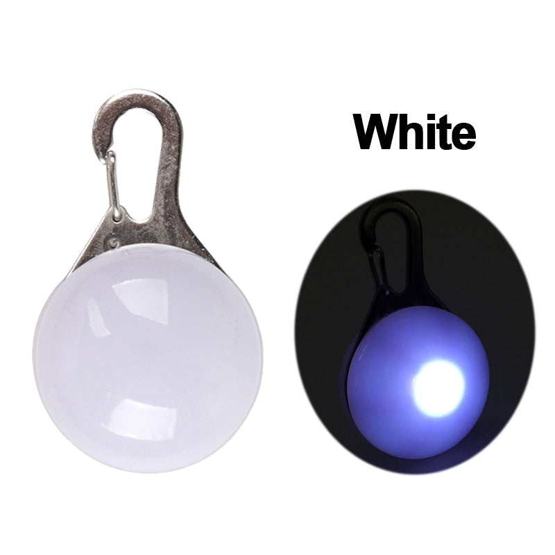 Pet Led Collar